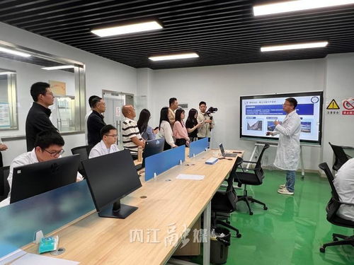 從“一”到“百” 內江以技術咨詢為雨露，讓創新種子長成產業森林